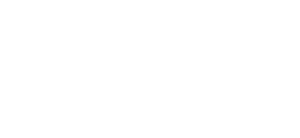 Grupo Scout 50